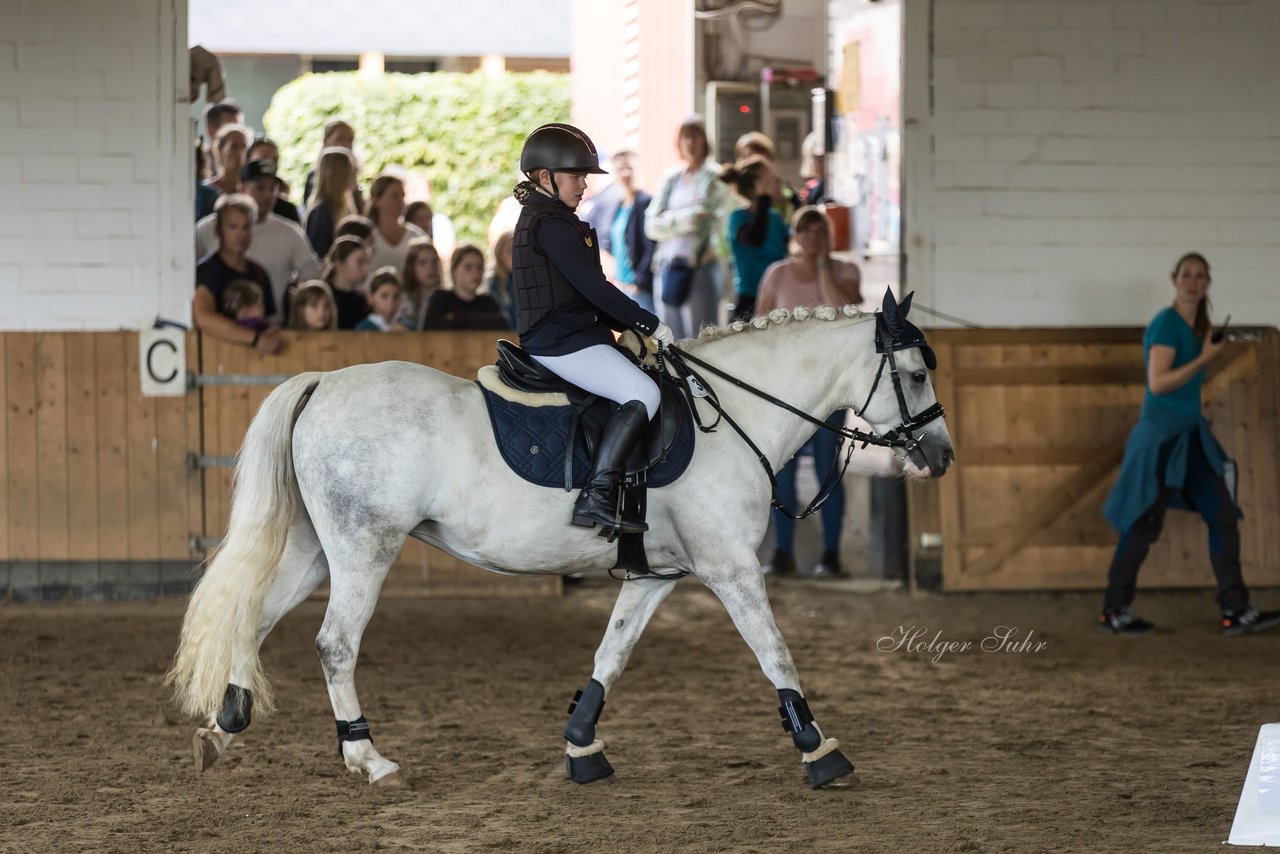 Bild 6 - Pony Akademie Turnier